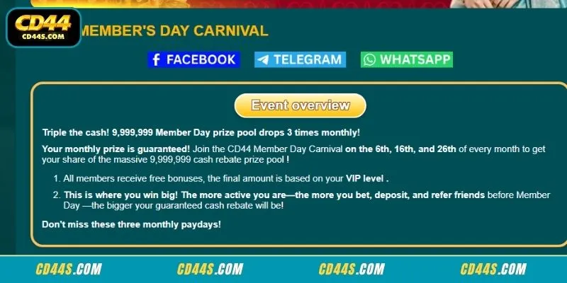 Accessing the structural Member Carnival Day ledger dashboard